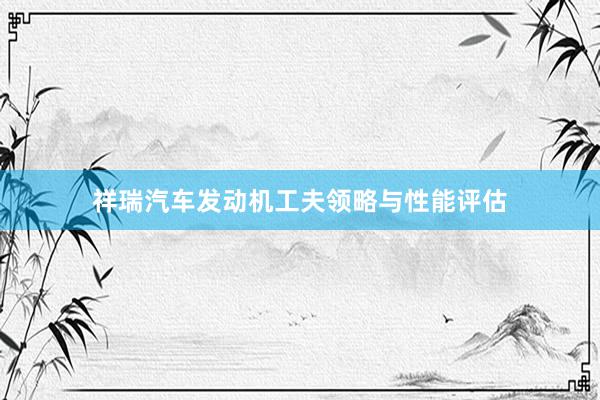 祥瑞汽车发动机工夫领略与性能评估